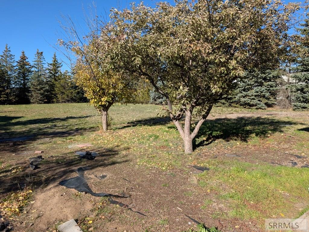 4822 South Streeter Avenue Ammon, ID 83406 - Photo 40 of 44