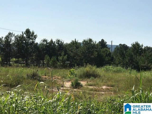 9 Easy Street, Unit 1 Anniston, AL 36207 - Photo 19 of 20