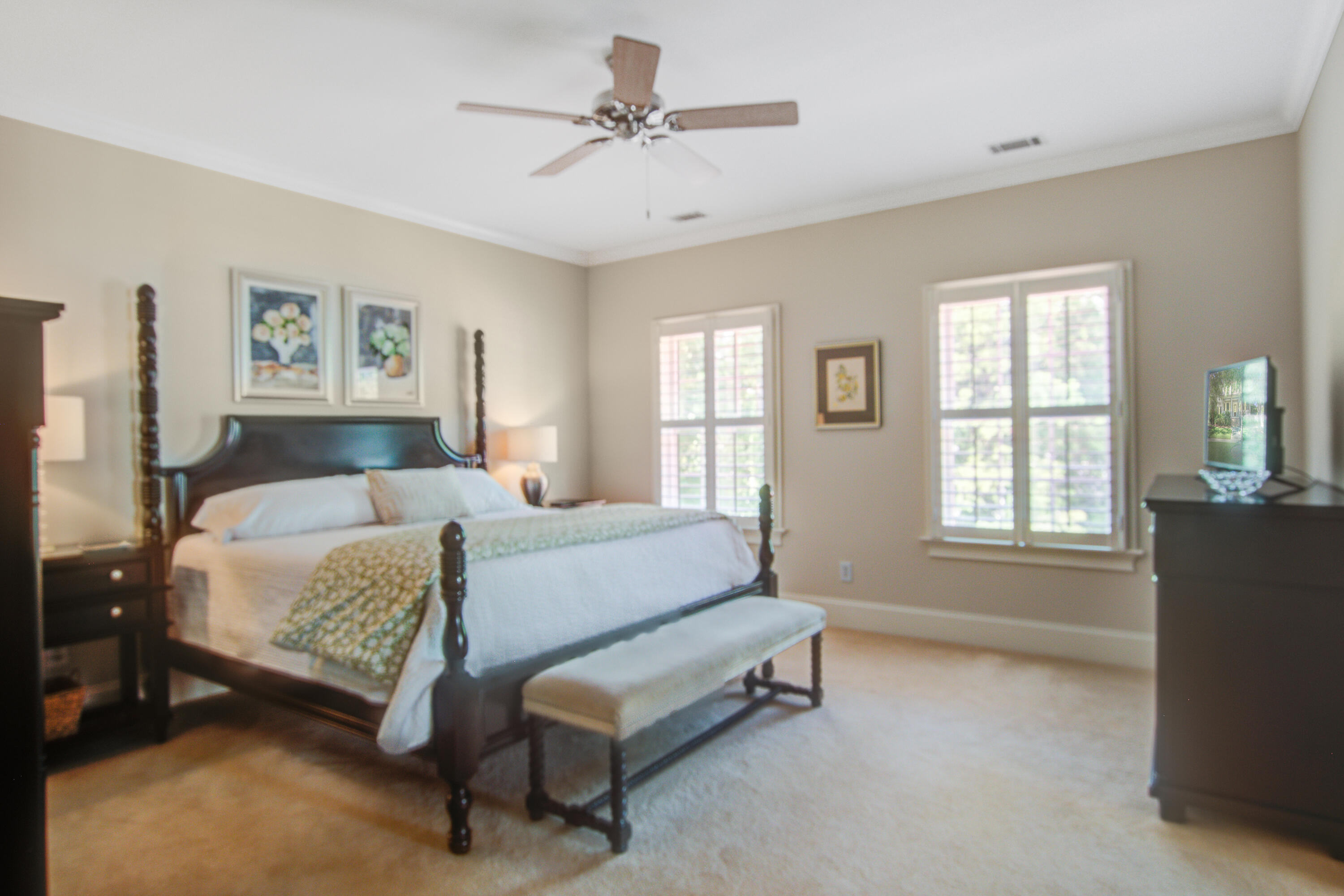 364 Evian Way Mount Pleasant, SC 29464 - Photo 16 of 46 Owners Bedroom