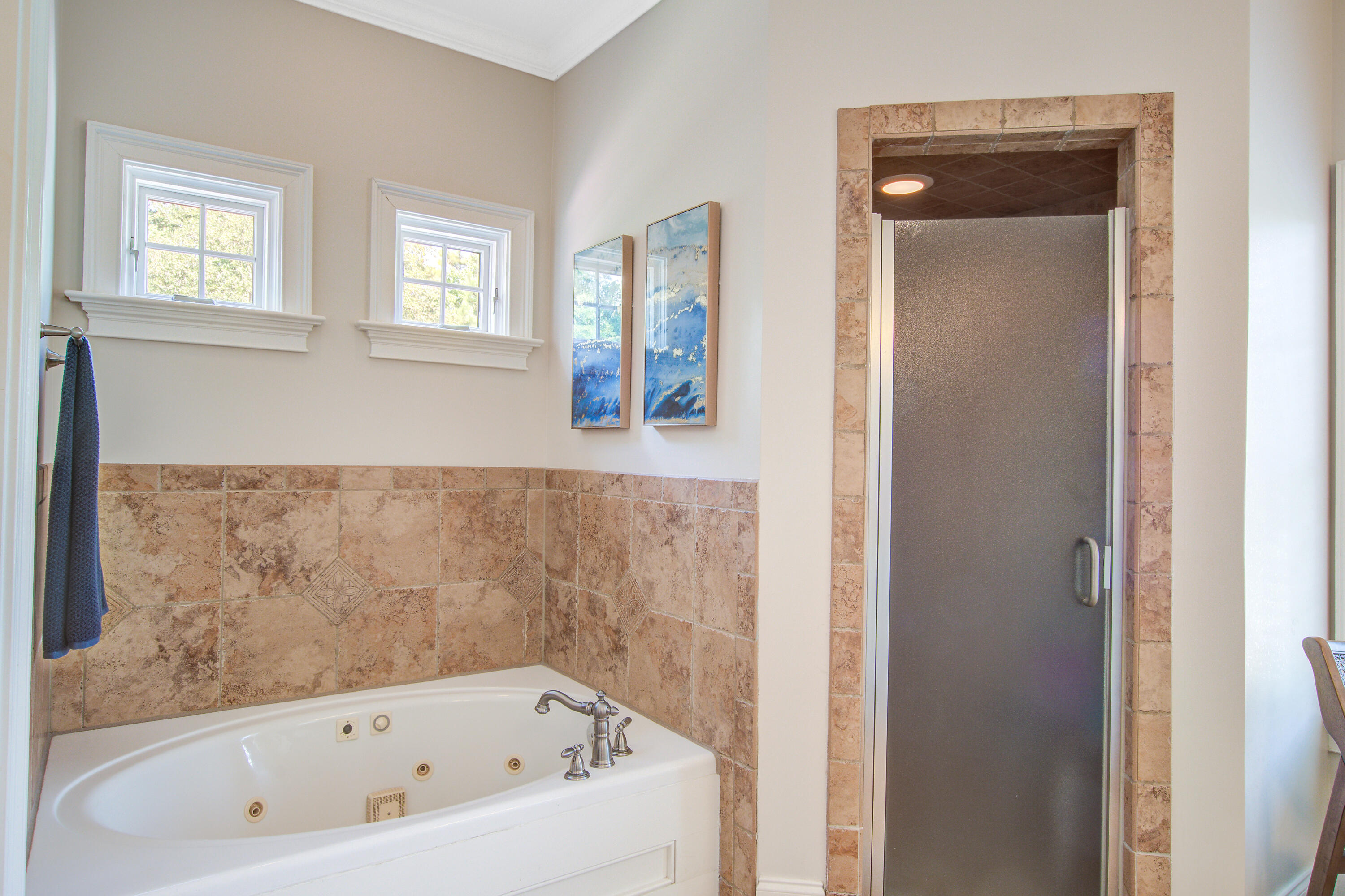 364 Evian Way Mount Pleasant, SC 29464 - Photo 19 of 46 Owners Bathroom
