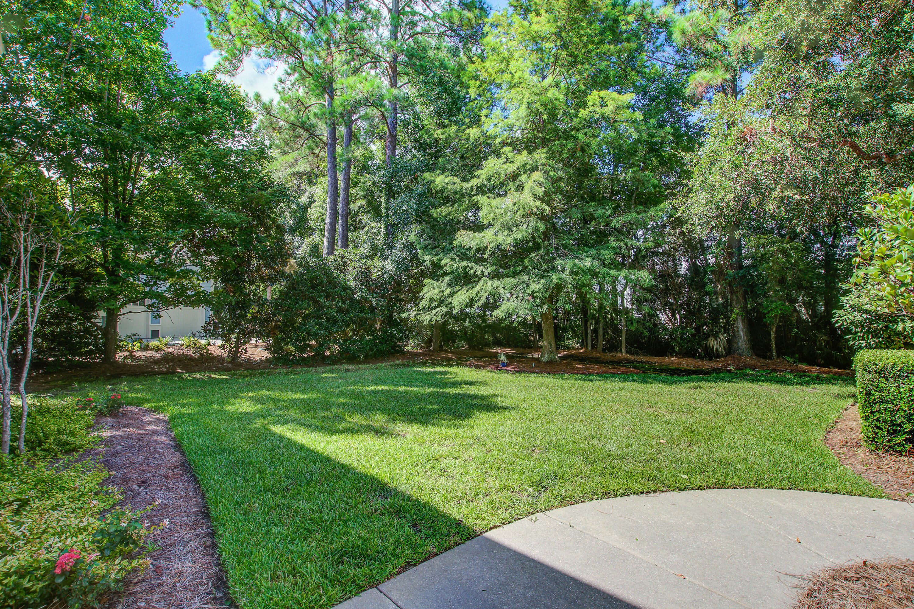 364 Evian Way Mount Pleasant, SC 29464 - Photo 28 of 46 Private Backyard
