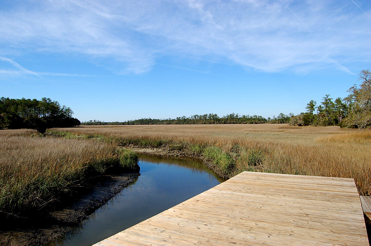 364 Evian Way Mount Pleasant, SC 29464 - Photo 42 of 46 Community dock view