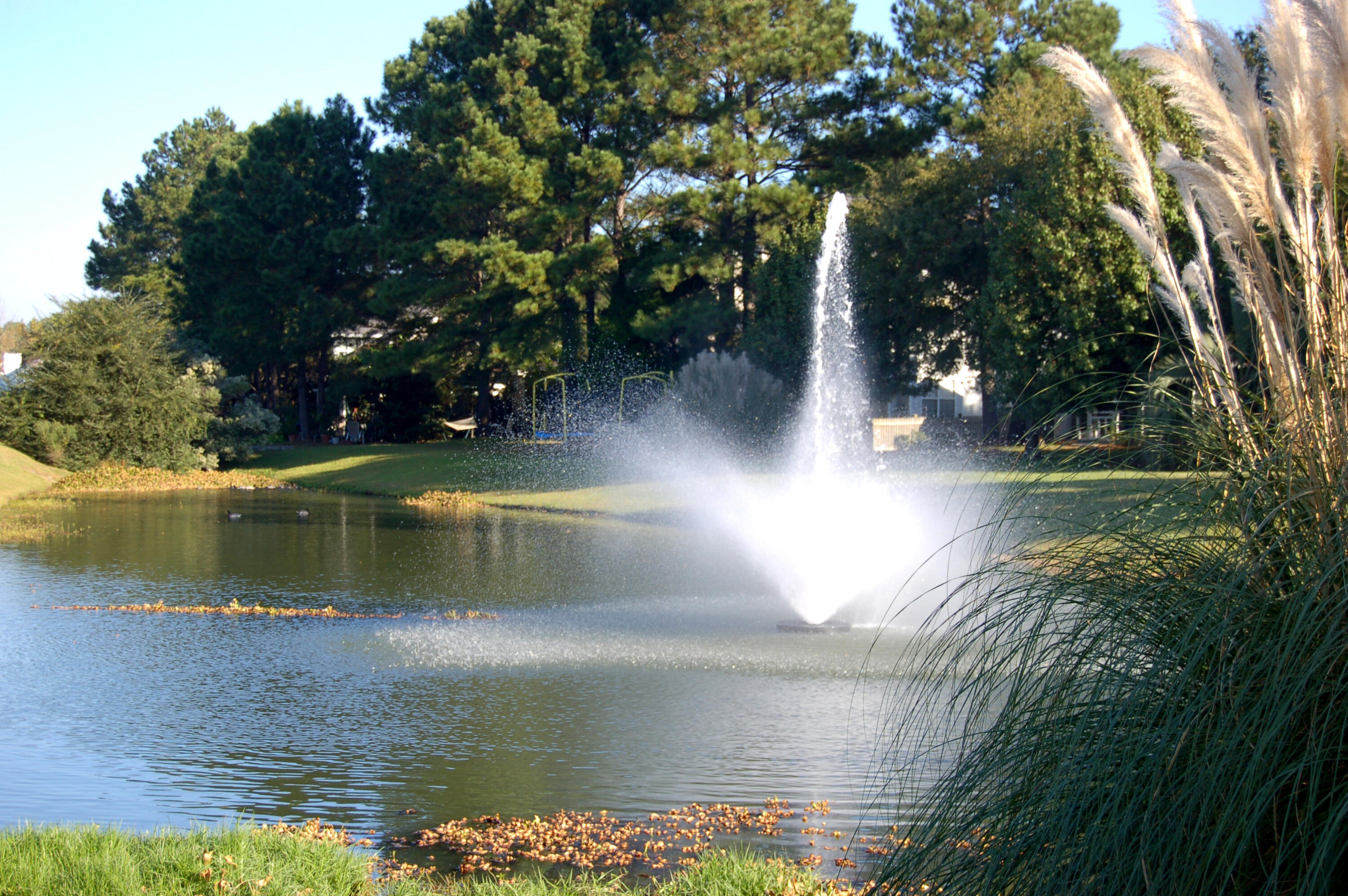 364 Evian Way Mount Pleasant, SC 29464 - Photo 44 of 46 Neighborhood pond