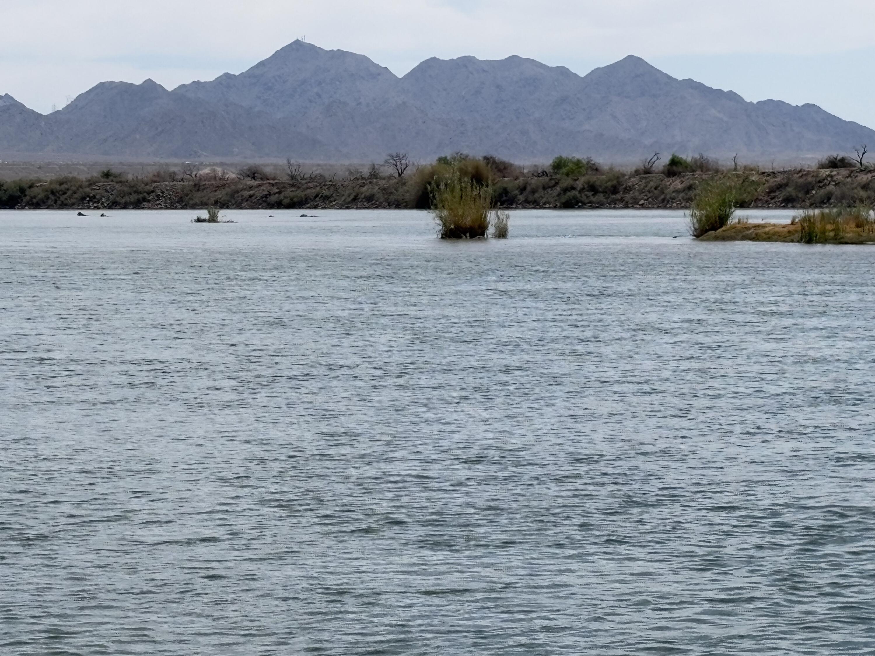 2674 Colorado River Road Blythe, CA 92225 - Photo 67 of 73 IMG_4358