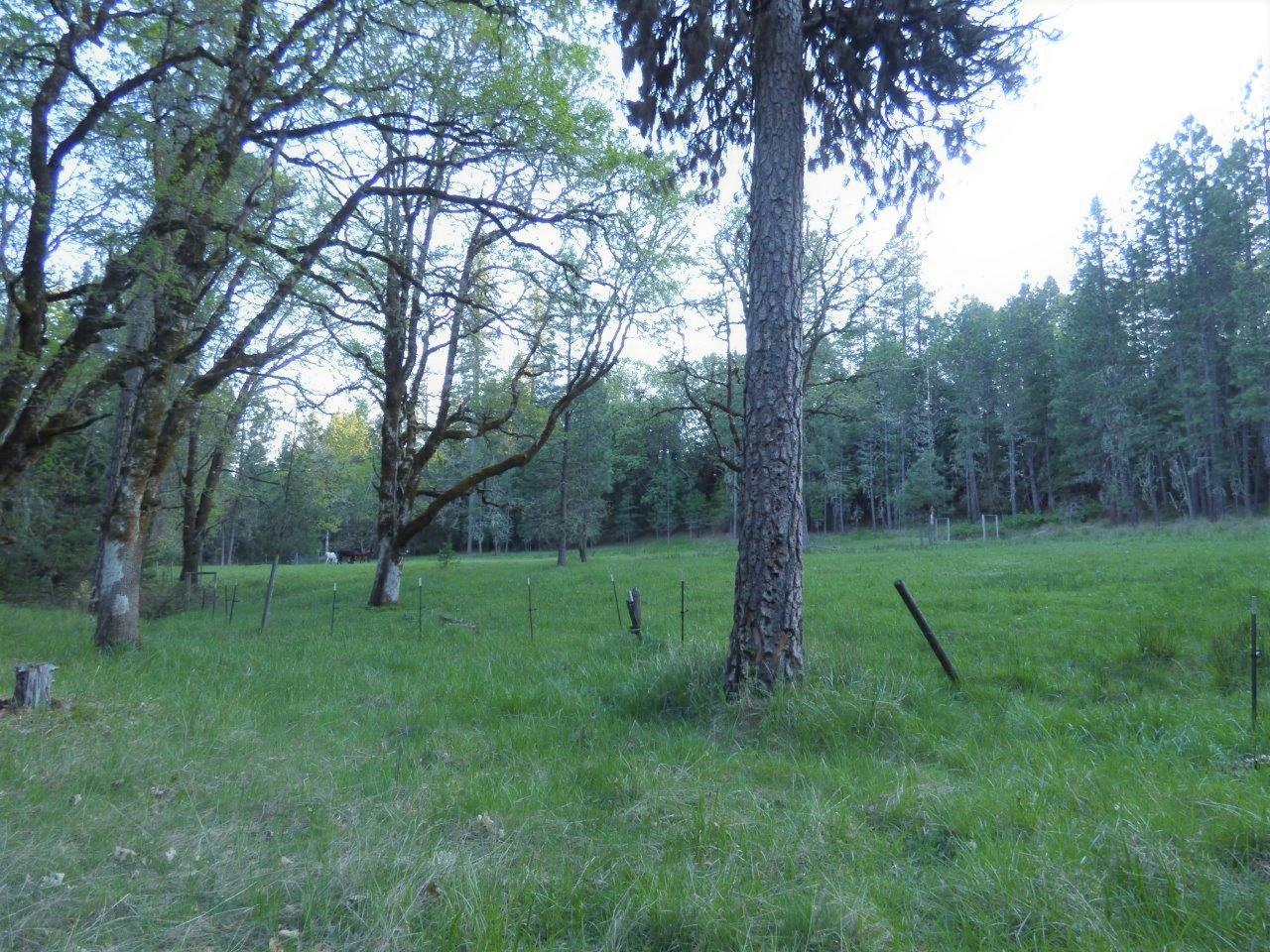 6520 Tunnel Loop Road Grants Pass, OR 97526 - Photo 57 of 69 a view of field with tall trees