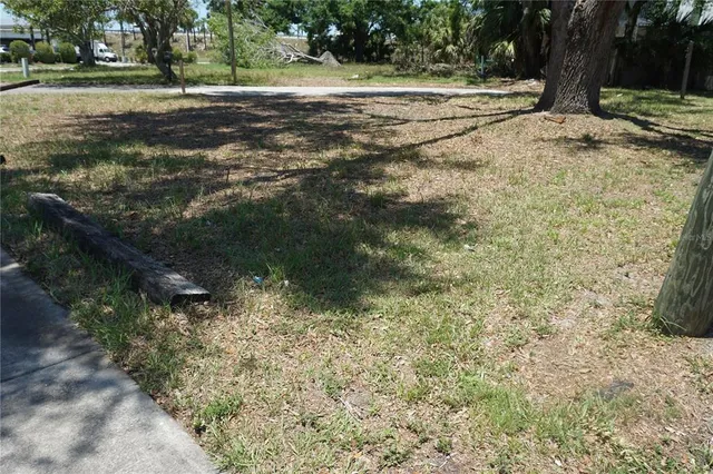 a view of a yard with plants and trees
