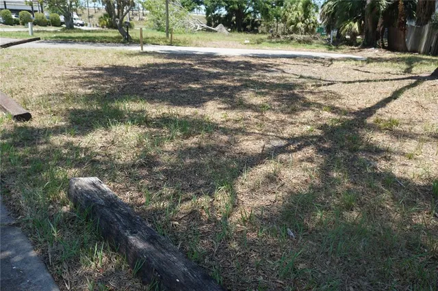 a view of a yard with plants and trees