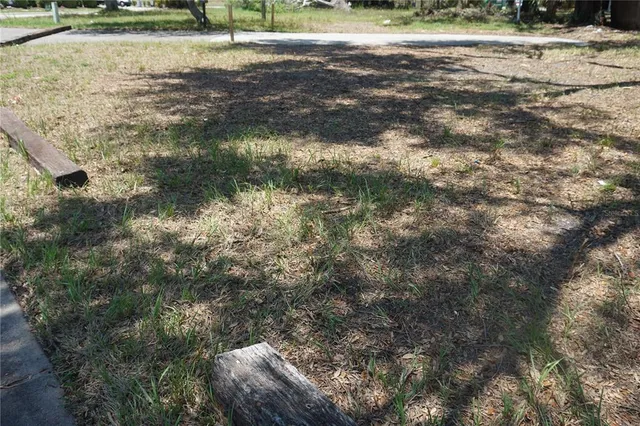 a view of a yard with a tree