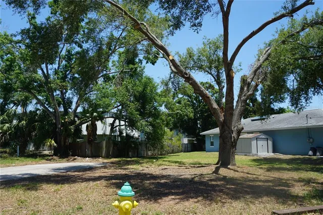 a tree in a yard next to a building