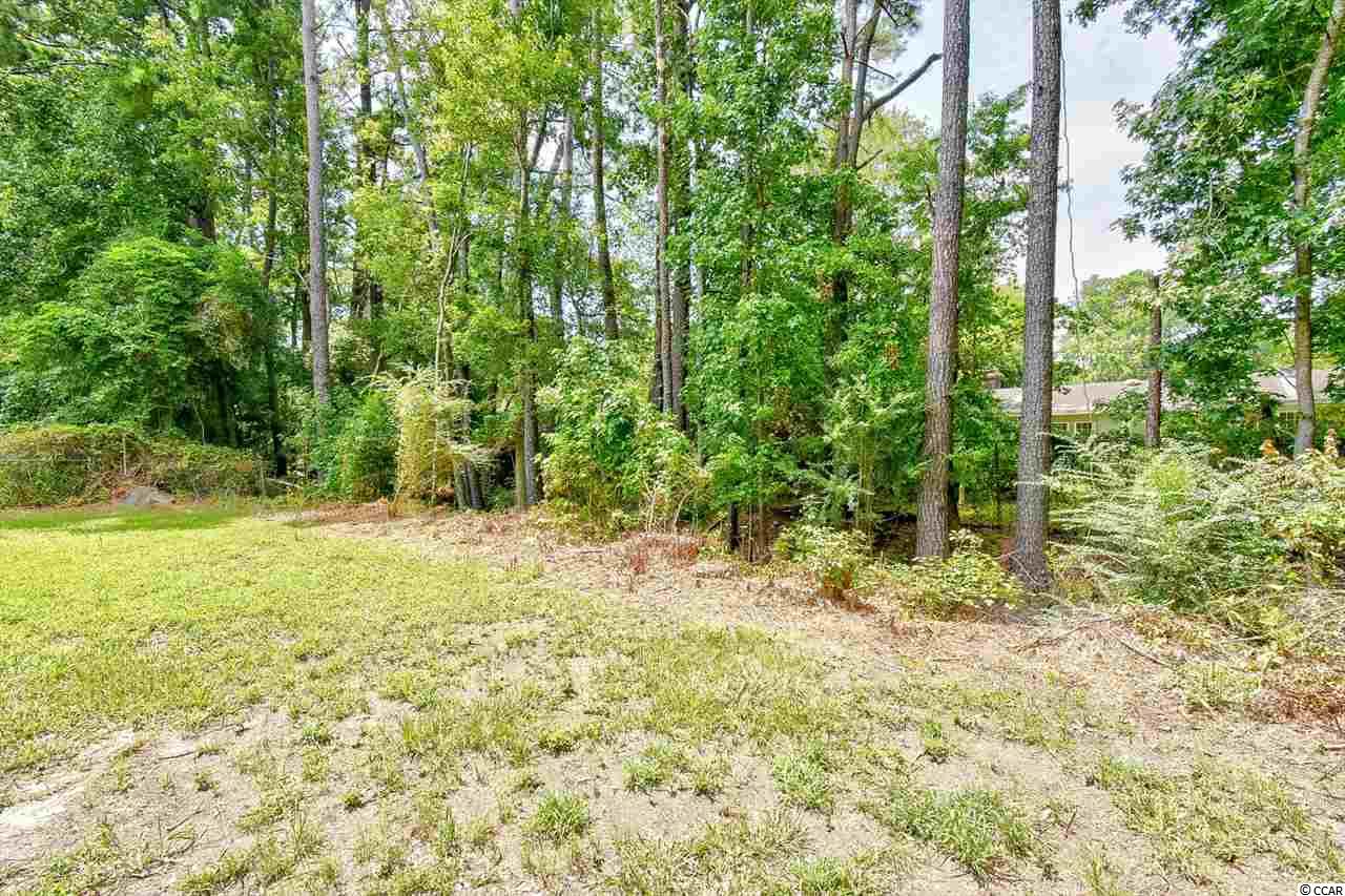 160 Ranchette Circle Myrtle Beach, SC 29588 - Photo 26 of 30 Gallery Image 26