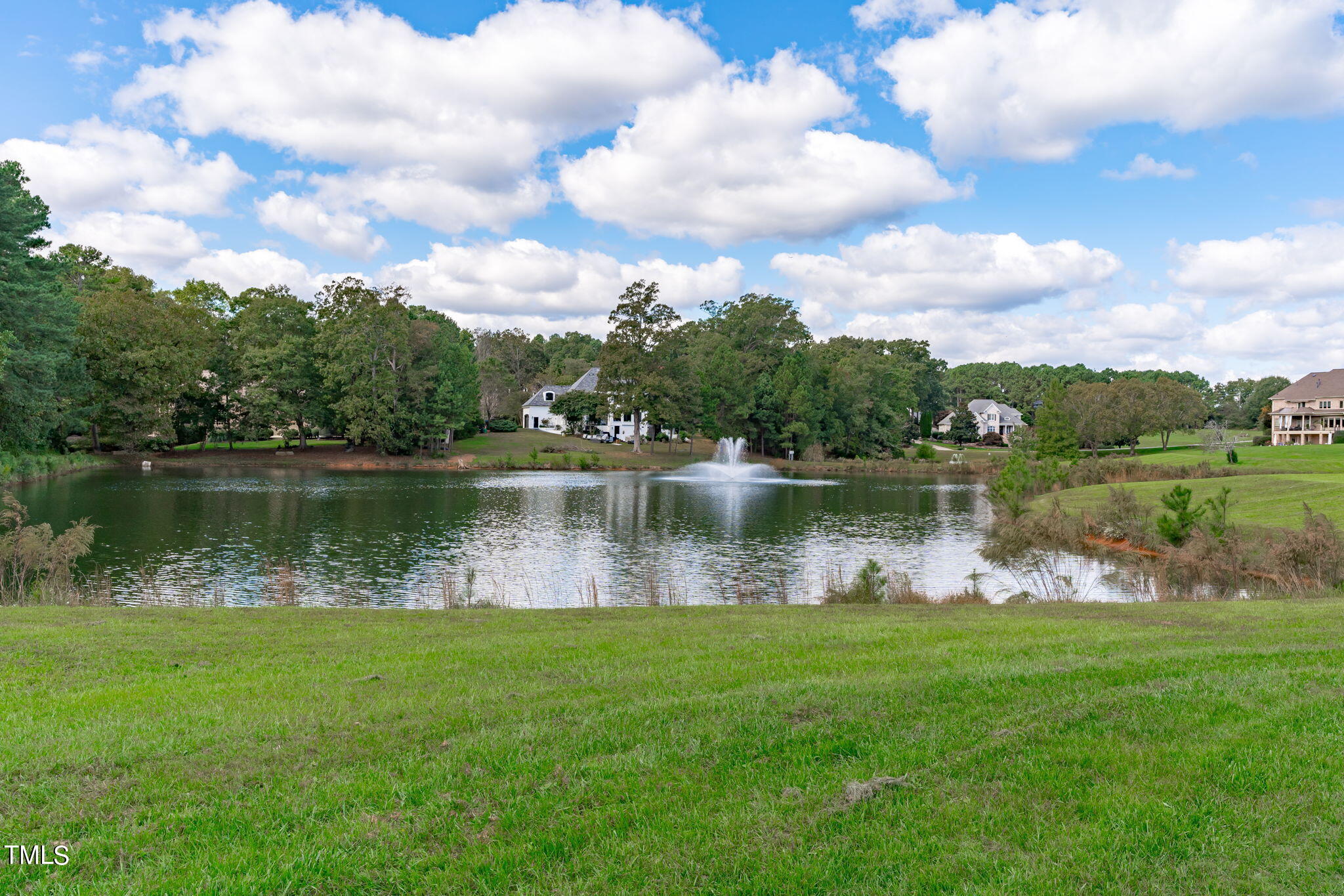 1012 Heydon Court Raleigh, NC 27614 - Photo 55 of 60 Backyard/Lake