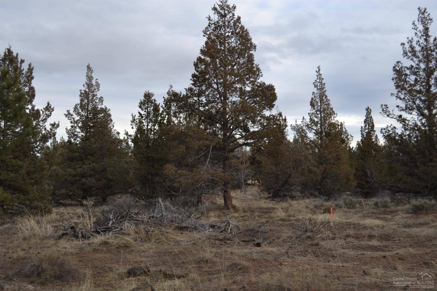 22085 Neff Road Bend, OR 97701 - Photo 11 of 12 Additional Photo