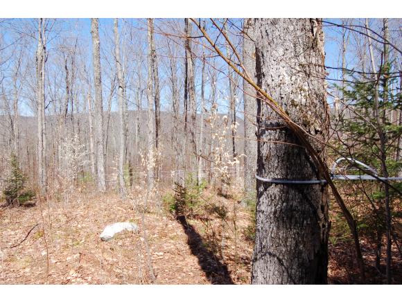 292 Springfield Road Newport, NH 03773 - Photo 11 of 13