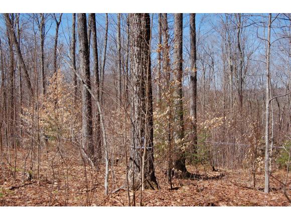 292 Springfield Road Newport, NH 03773 - Photo 12 of 13