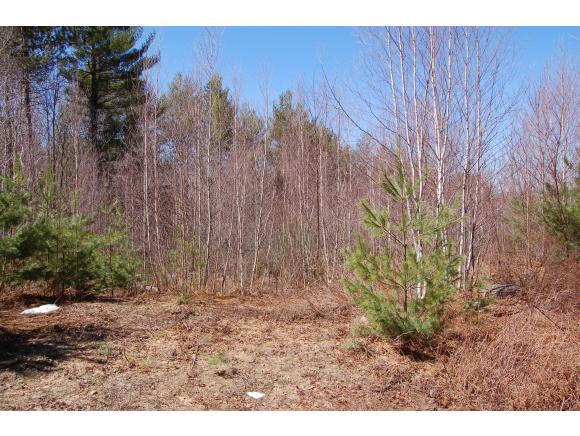 292 Springfield Road Newport, NH 03773 - Photo 5 of 13