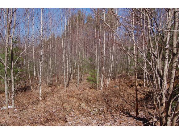 292 Springfield Road Newport, NH 03773 - Photo 7 of 13