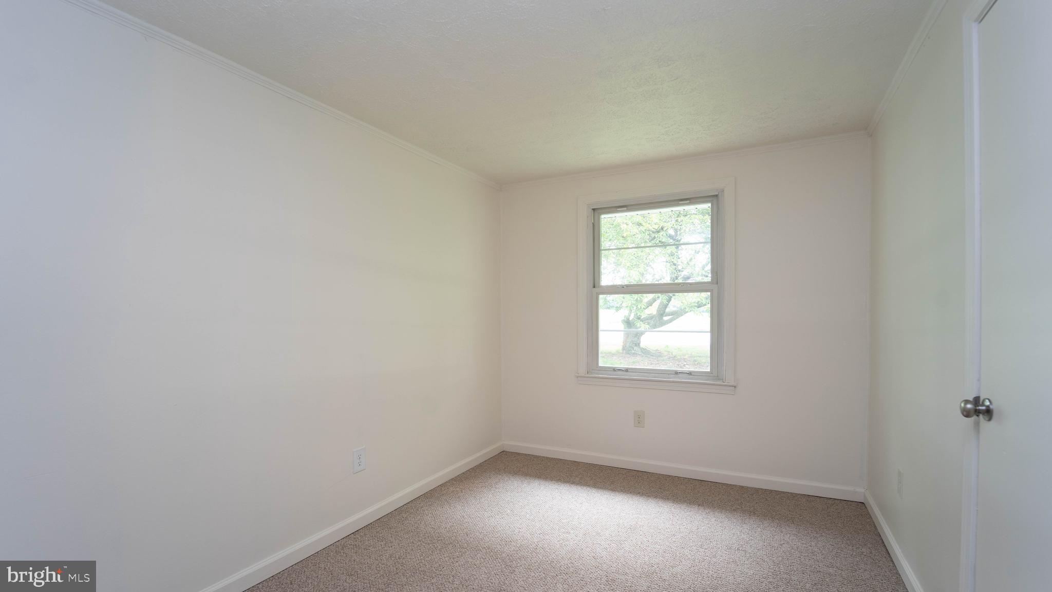 3531 Linchester Road Preston, MD 21655 - Photo 21 of 31 Gallery Image 21
