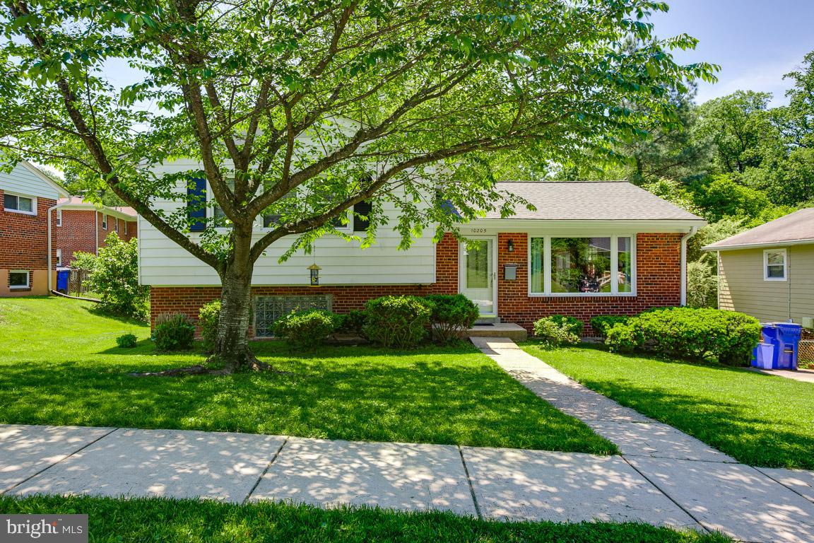 10205 Folk Street Silver Spring, MD 20902 - Photo 2 of 31 Gallery Image 2