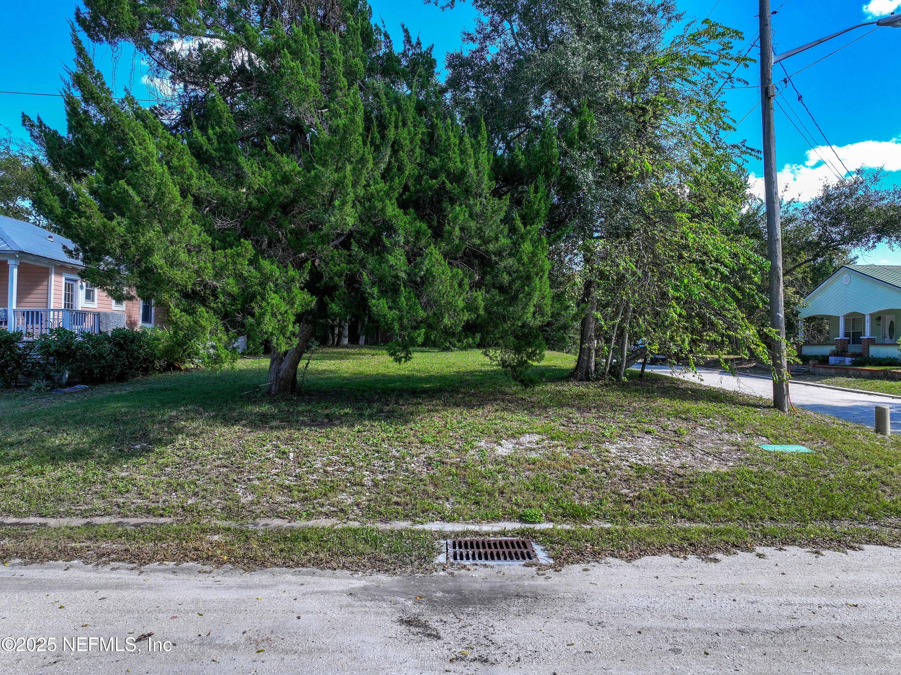 903 Someruelus Street Fernandina Beach, FL 32034 - Photo 3 of 23 a view of backyard with green space