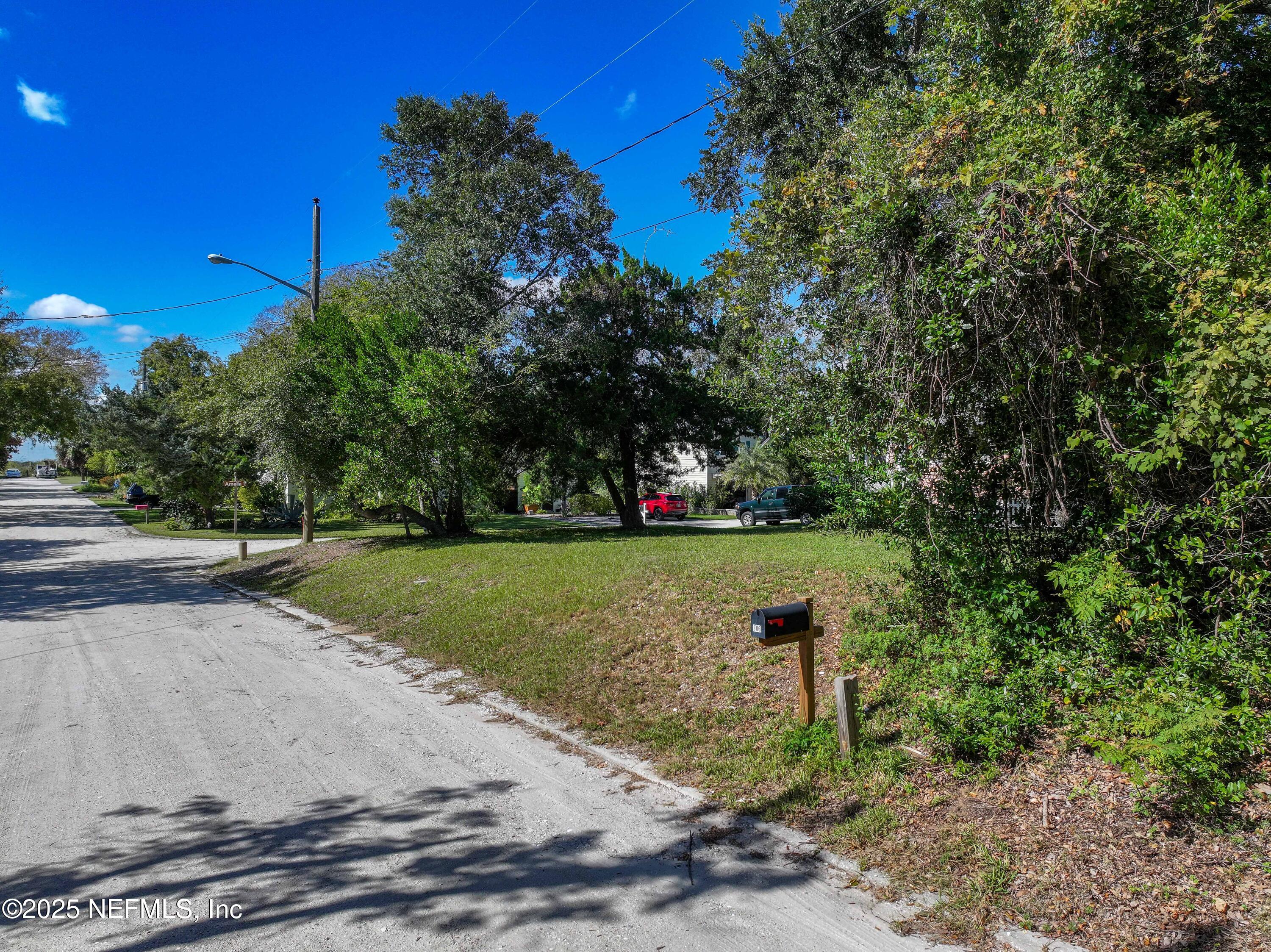 903 Someruelus Street Fernandina Beach, FL 32034 - Photo 4 of 23 a view of a park with large trees