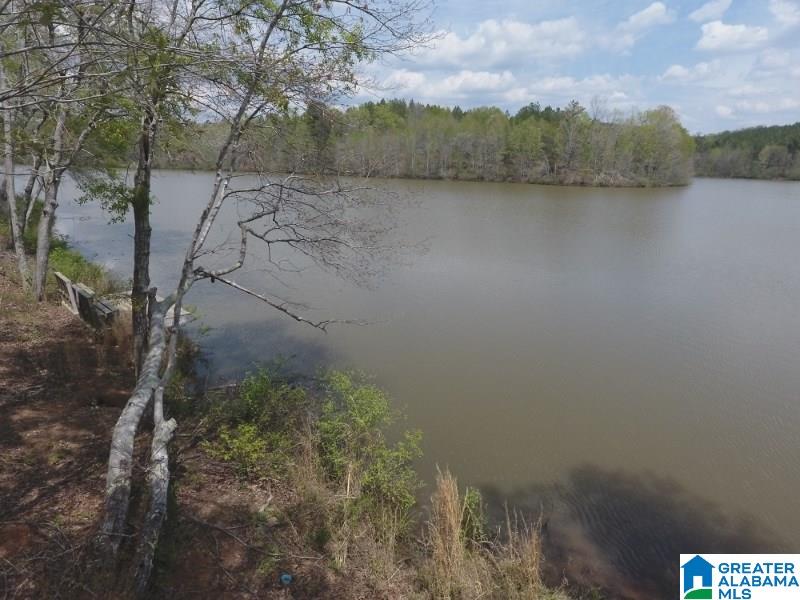 1853 Center Hill Road Lineville, AL 36266 - Photo 20 of 43 Gallery Image 20