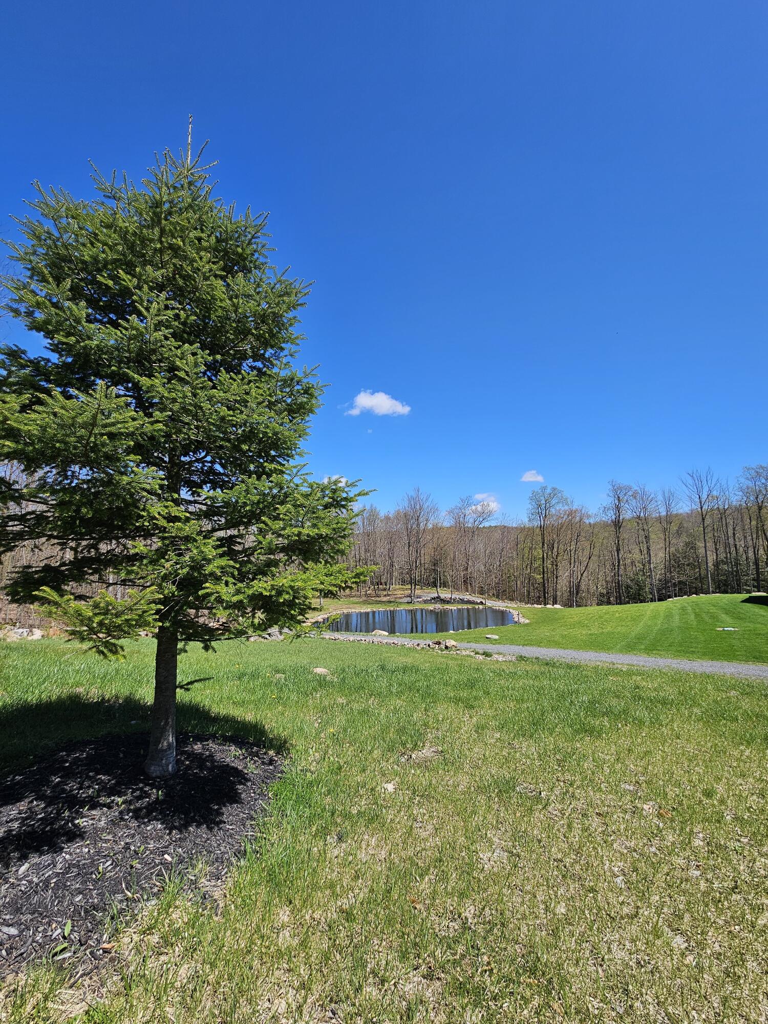 58 Hewitt Road St. Regis Falls, NY 12980 - Photo 80 of 126