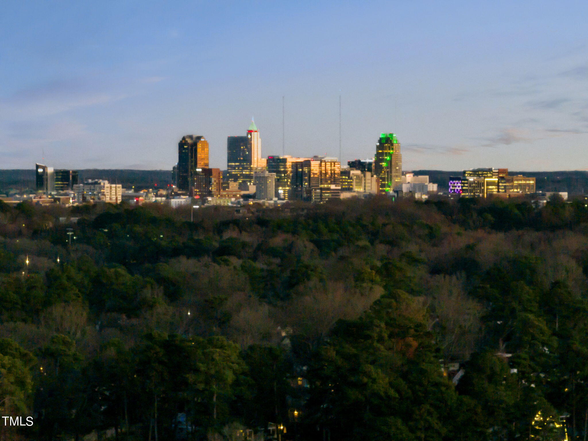 1435 Nottingham Road Raleigh, NC 27607 - Photo 43 of 48 a view of a city