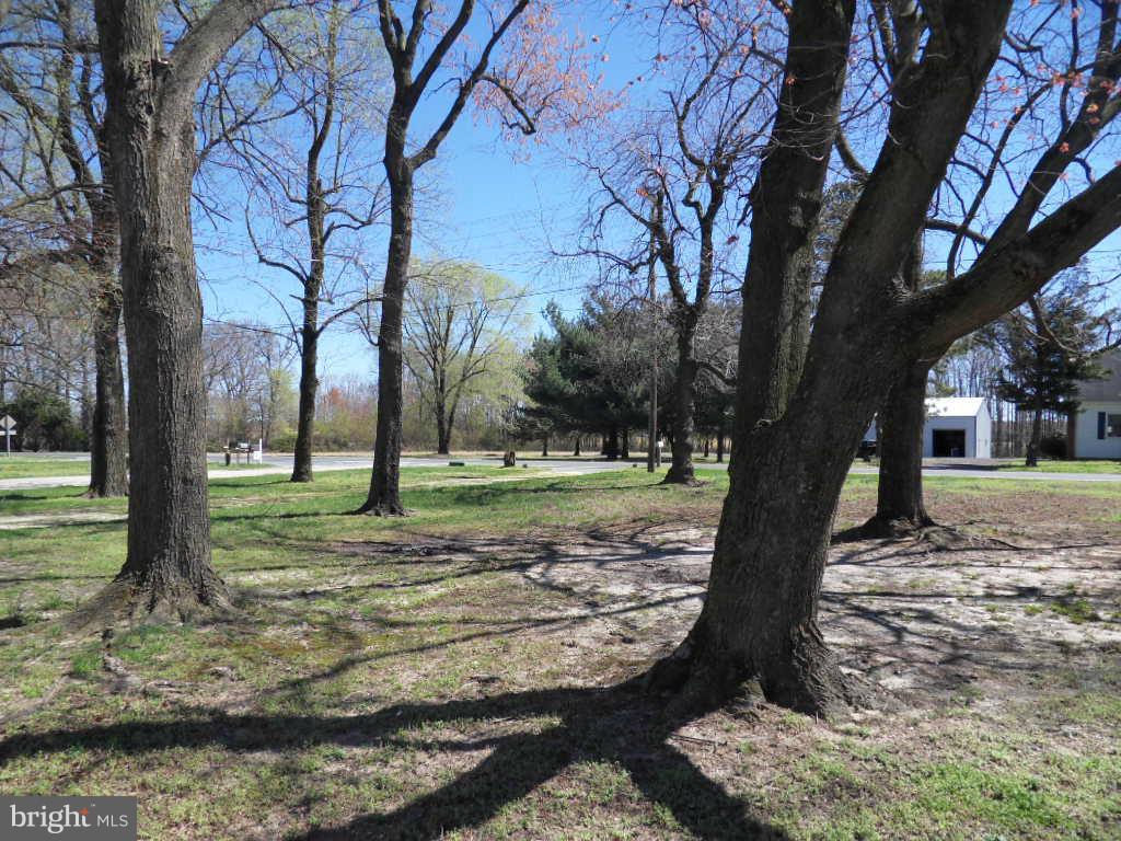 6538 Eldorado Road Federalsburg, MD 21632 - Photo 29 of 29 View