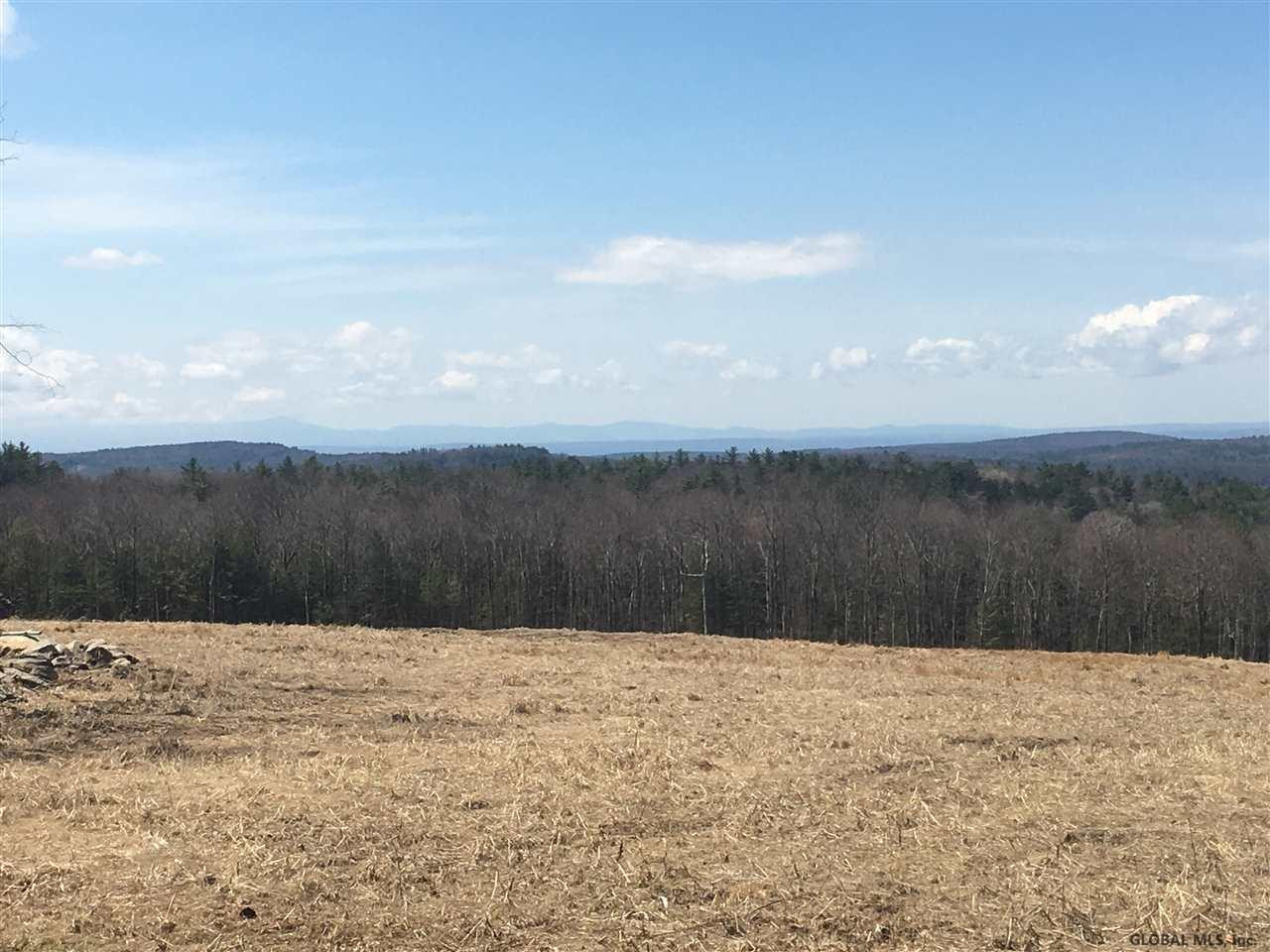 Saddleback Ridge Road East Nassau, NY 12062 - Photo 7 of 13 Photo 7