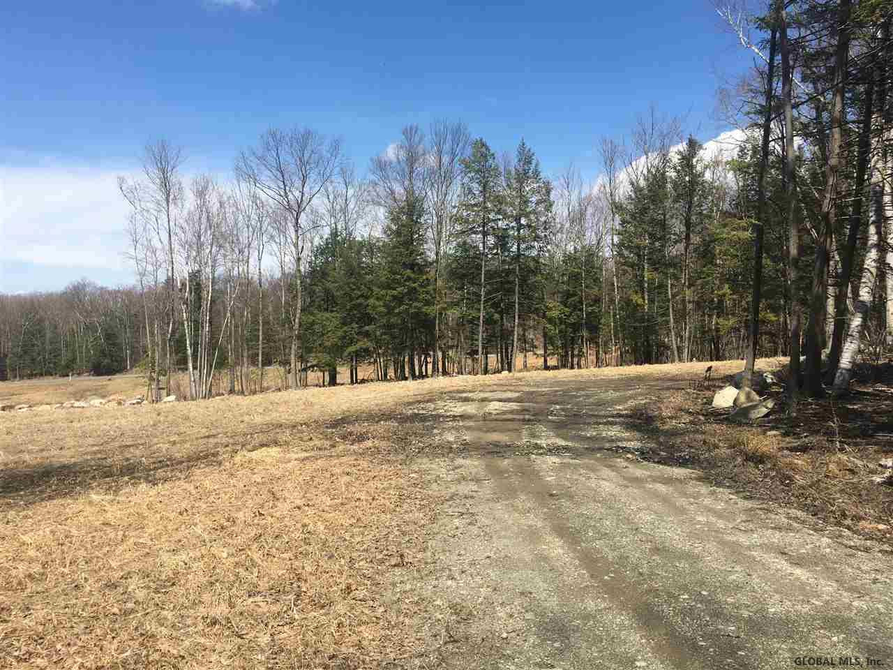 Saddleback Ridge Road East Nassau, NY 12062 - Photo 9 of 13 Photo 9