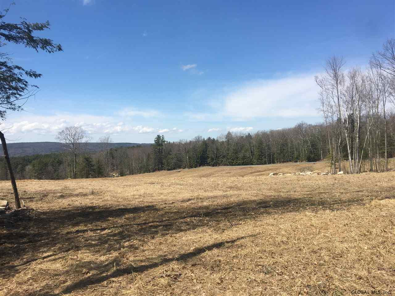 Saddleback Ridge Road East Nassau, NY 12062 - Photo 10 of 13 Photo 10