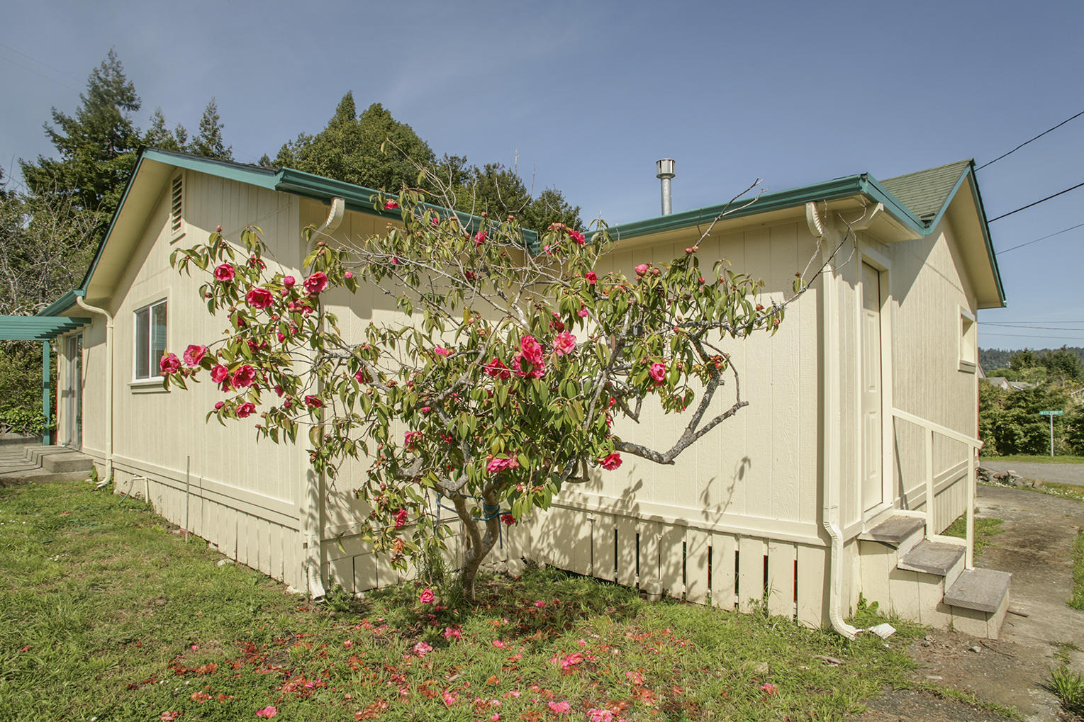 205 South Sequoia Avenue Rio Dell, CA 95562 - Photo 4 of 20