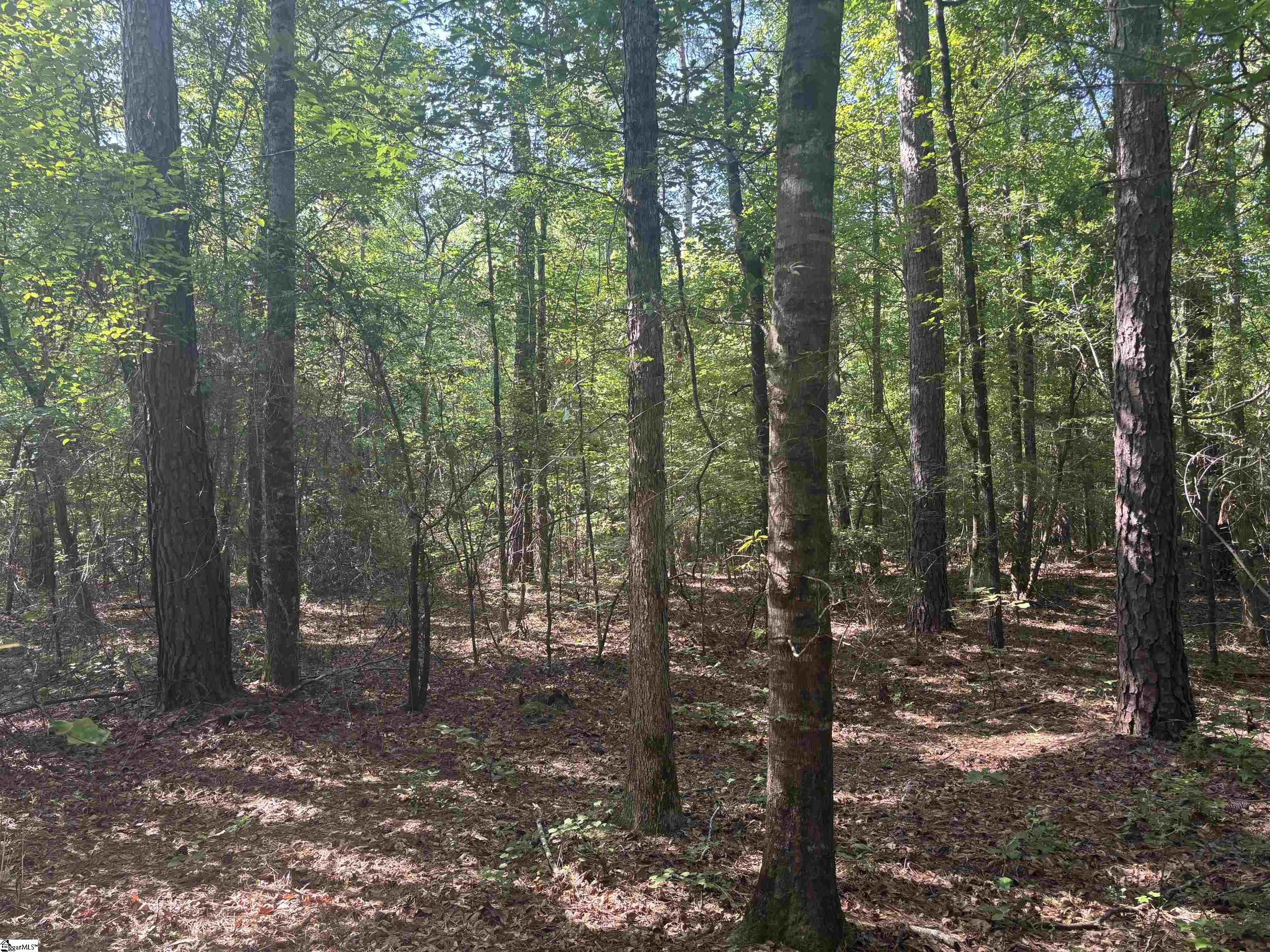 Old Calhoun Falls Road Abbeville, SC 29620 - Photo 3 of 16