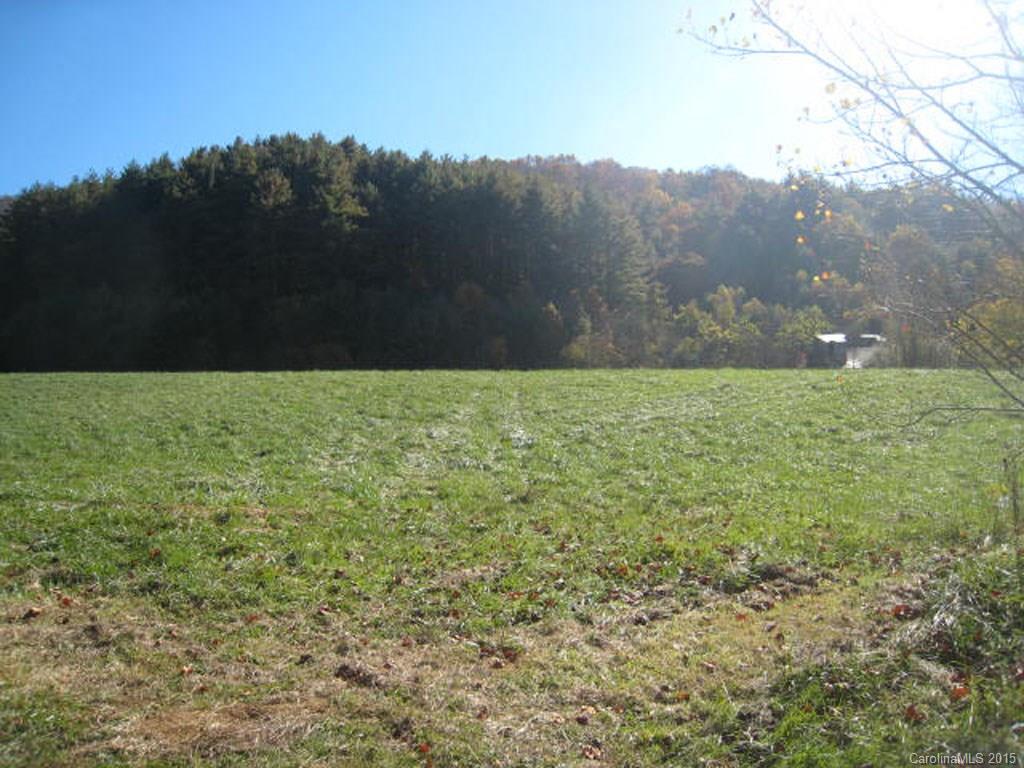 Lot 2-3 Rice Branch Road, Unit 2 Asheville, NC 28804 - Photo 1 of 15 Gallery Image 1