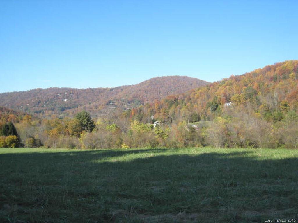 Lot 2-3 Rice Branch Road, Unit 2 Asheville, NC 28804 - Photo 2 of 15 Gallery Image 2