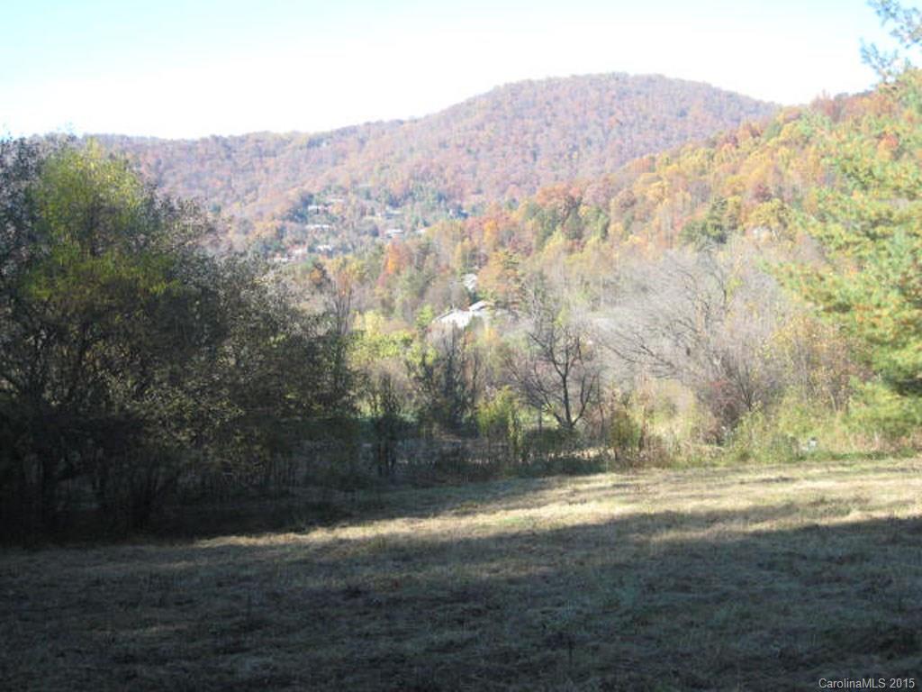 Lot 2-3 Rice Branch Road, Unit 2 Asheville, NC 28804 - Photo 11 of 15 Gallery Image 11