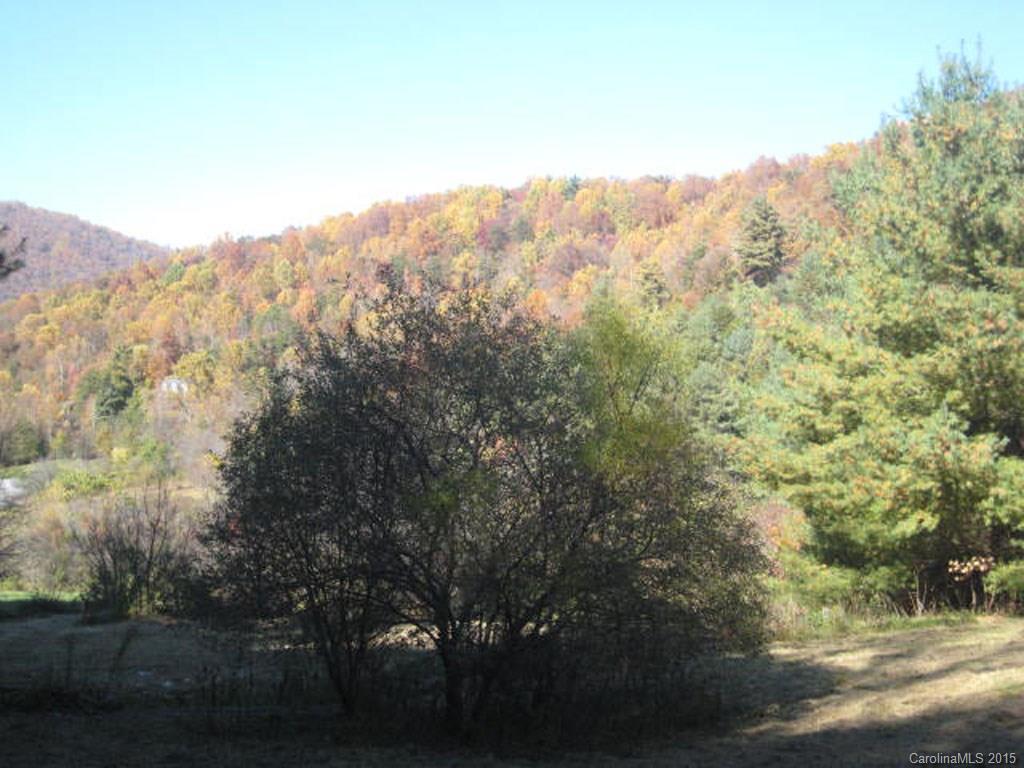 Lot 2-3 Rice Branch Road, Unit 2 Asheville, NC 28804 - Photo 12 of 15 Gallery Image 12