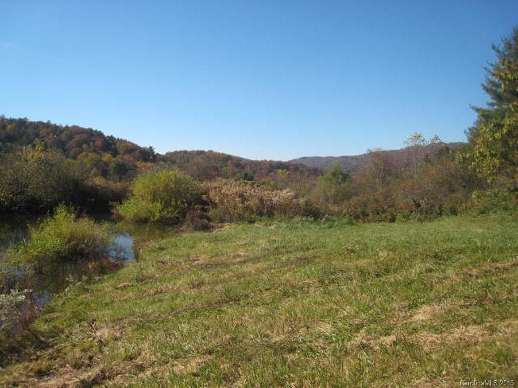 Lot 2-3 Rice Branch Road, Unit 2 Asheville, NC 28804 - Photo 13 of 15 Gallery Image 13