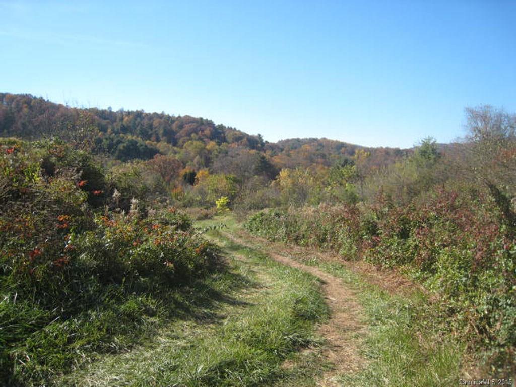 Lot 2-3 Rice Branch Road, Unit 2 Asheville, NC 28804 - Photo 14 of 15 Gallery Image 14