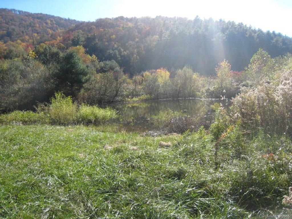 Lot 2-3 Rice Branch Road, Unit 2 Asheville, NC 28804 - Photo 15 of 15 Gallery Image 15