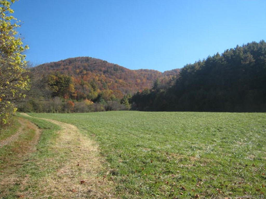 Lot 2-3 Rice Branch Road, Unit 2 Asheville, NC 28804 - Photo 3 of 15 Gallery Image 3