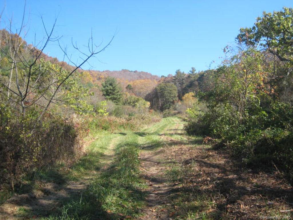 Lot 2-3 Rice Branch Road, Unit 2 Asheville, NC 28804 - Photo 5 of 15 Gallery Image 5