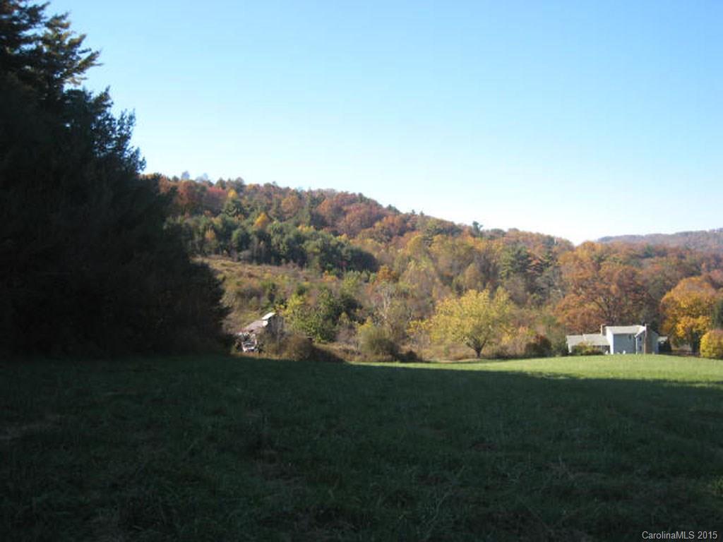 Lot 2-3 Rice Branch Road, Unit 2 Asheville, NC 28804 - Photo 7 of 15 Gallery Image 7