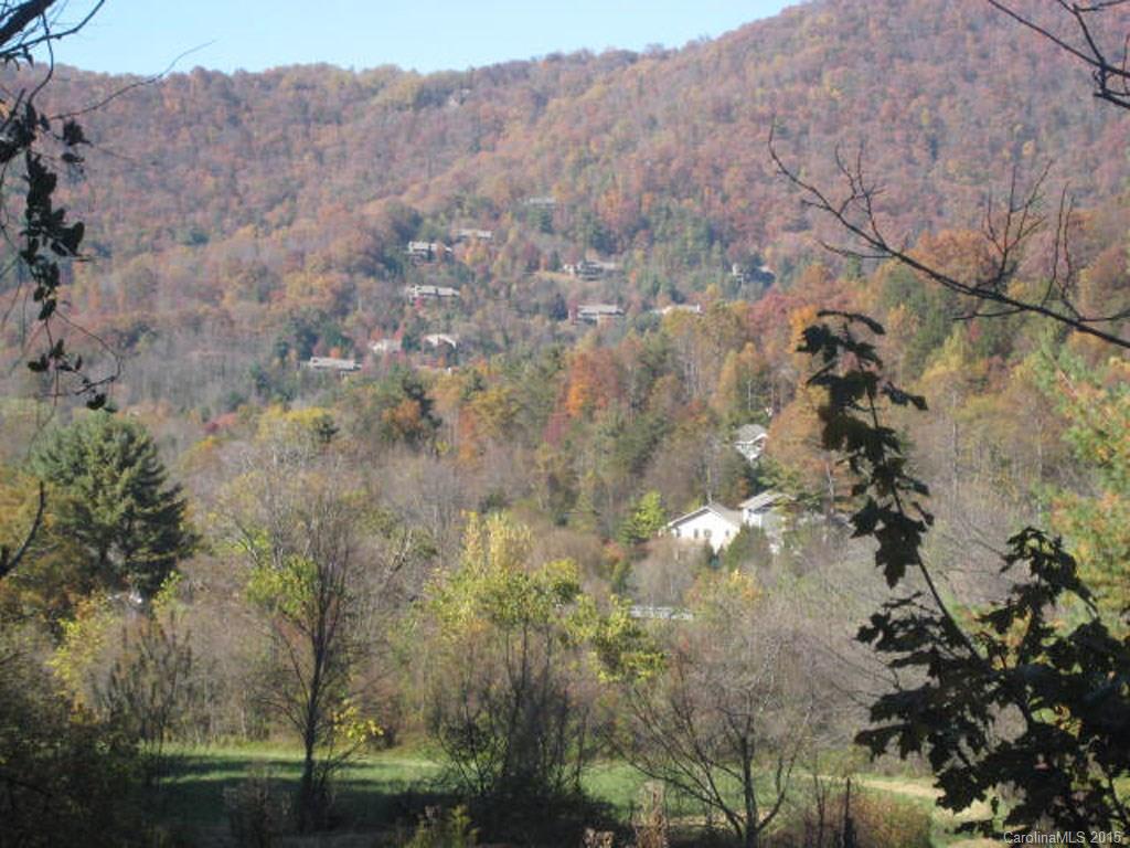 Lot 2-3 Rice Branch Road, Unit 2 Asheville, NC 28804 - Photo 8 of 15 Gallery Image 8