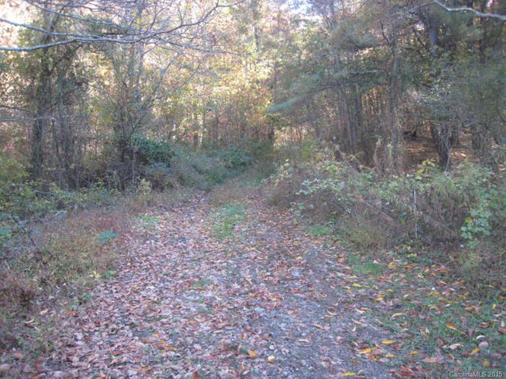 Lot 2-3 Rice Branch Road, Unit 2 Asheville, NC 28804 - Photo 9 of 15 Gallery Image 9