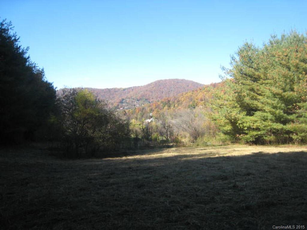 Lot 2-3 Rice Branch Road, Unit 2 Asheville, NC 28804 - Photo 10 of 15 Gallery Image 10
