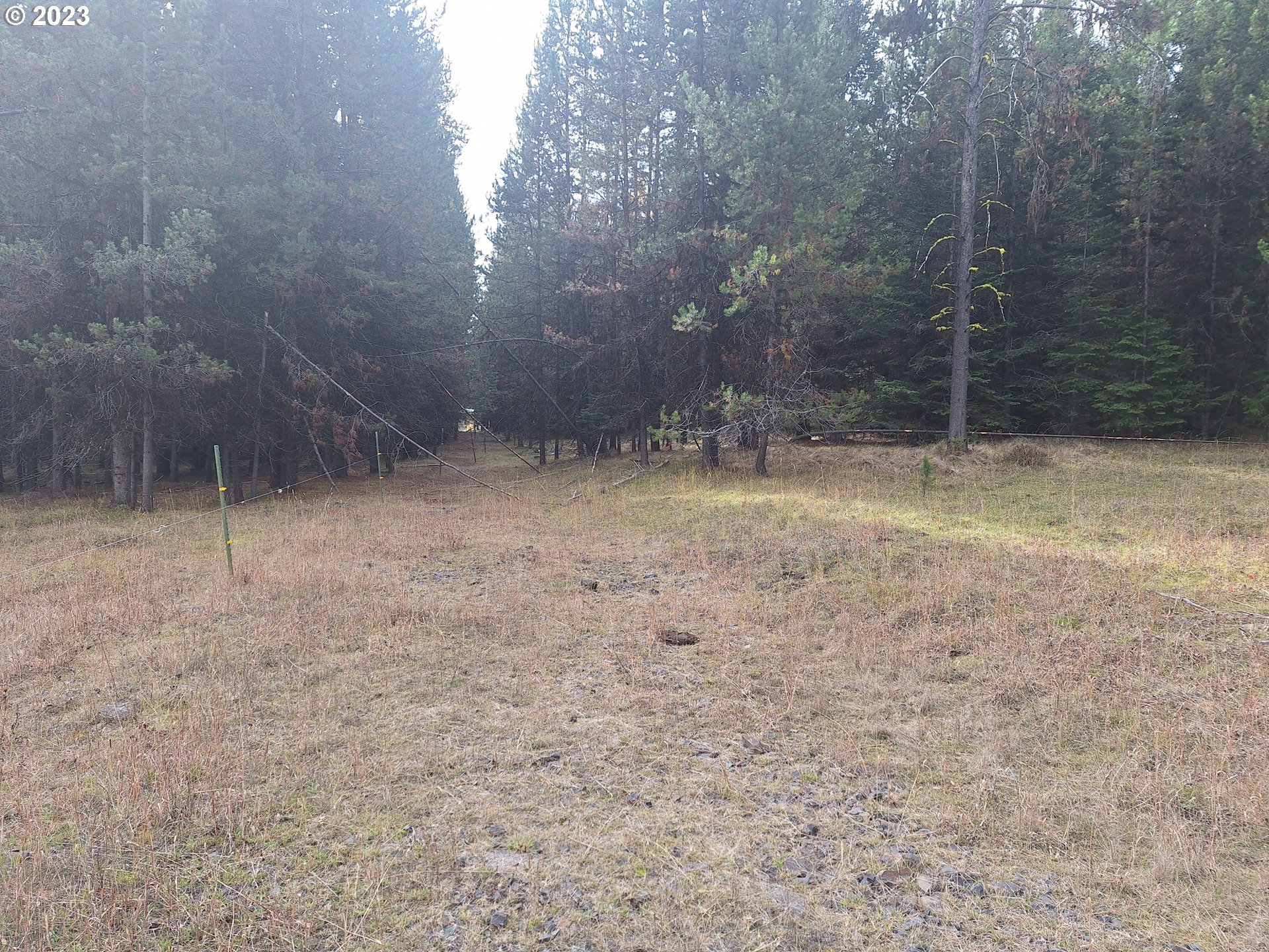 Davis Creek Road Enterprise, OR 97828 - Photo 11 of 11 Gallery Image 11