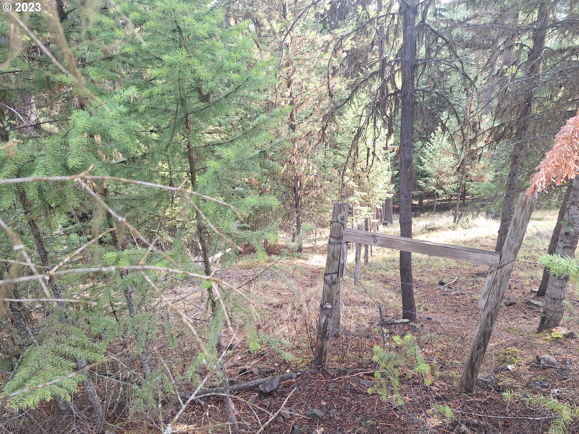 Davis Creek Road Enterprise, OR 97828 - Photo 3 of 11 Gallery Image 3