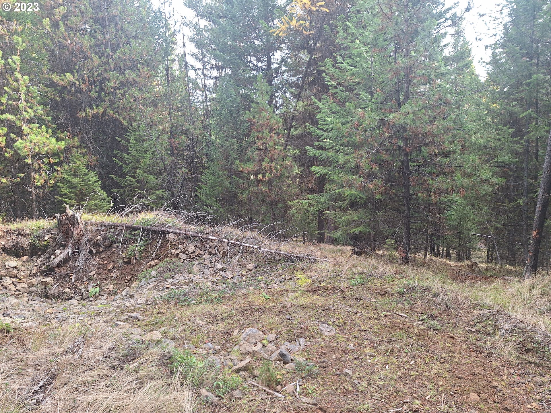 Davis Creek Road Enterprise, OR 97828 - Photo 5 of 11 Gallery Image 5