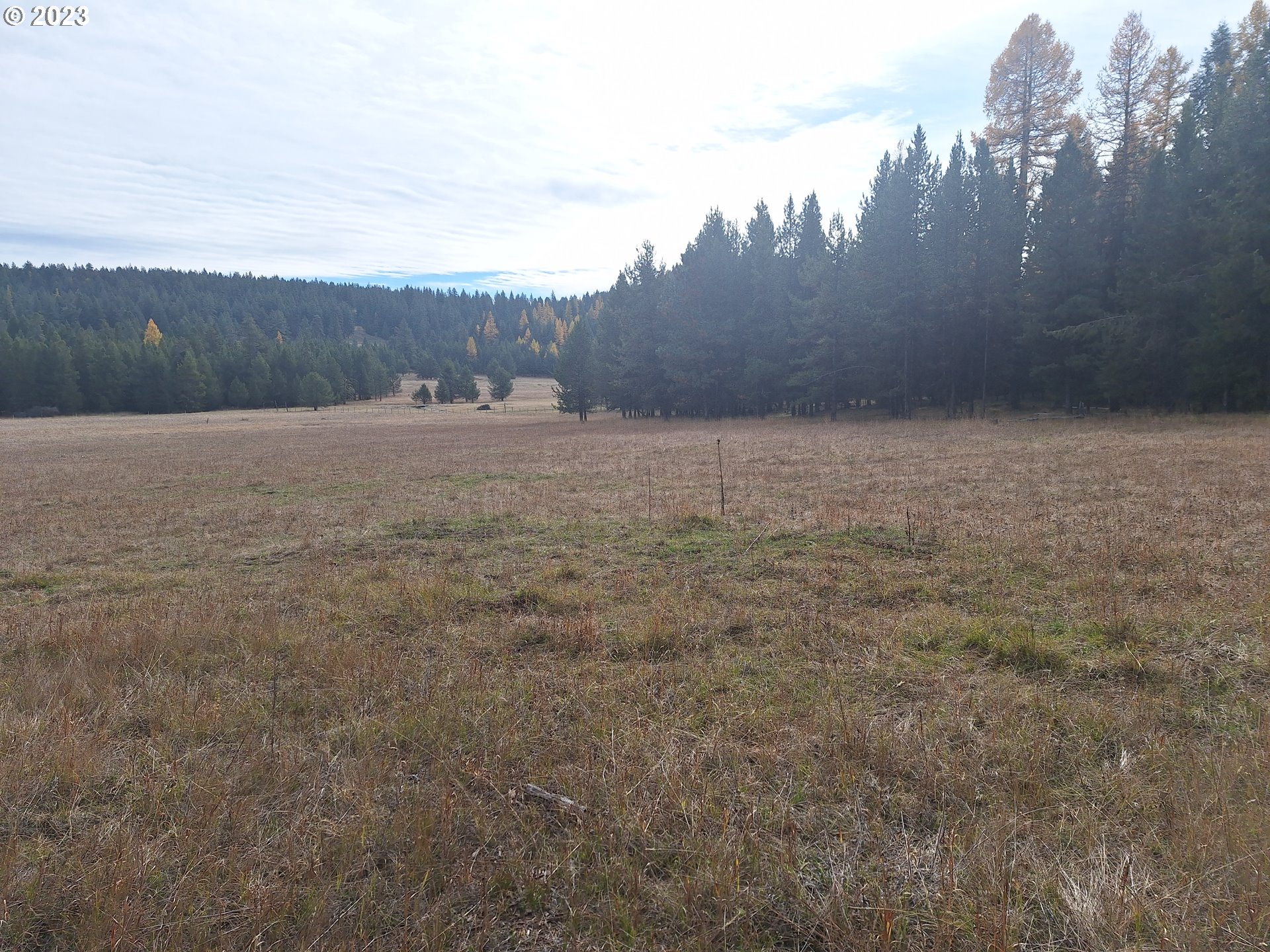 Davis Creek Road Enterprise, OR 97828 - Photo 7 of 11 Gallery Image 7